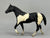 Stock Horse Stallion, Black Pinto