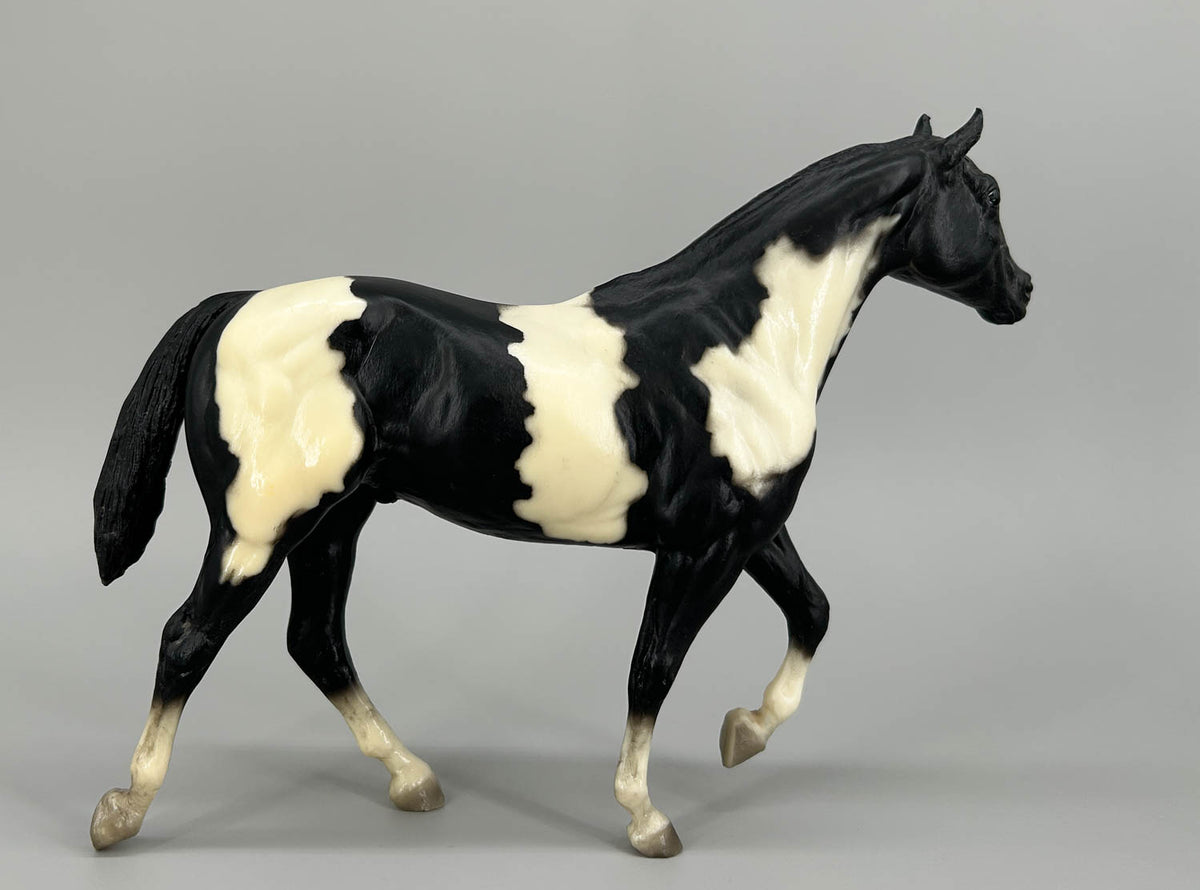 Stock Horse Stallion, Black Pinto