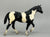 Stock Horse Stallion, Black Pinto