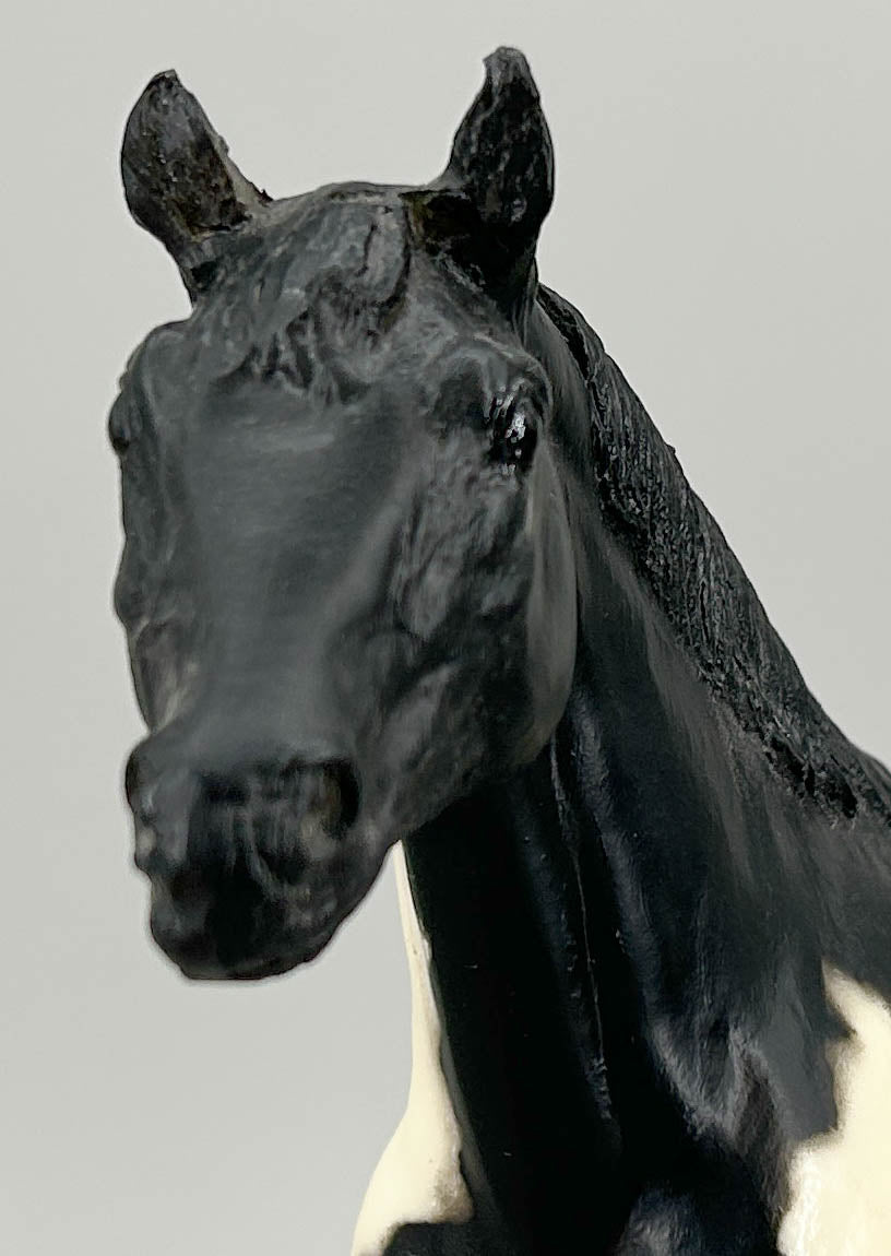 Stock Horse Stallion, Black Pinto