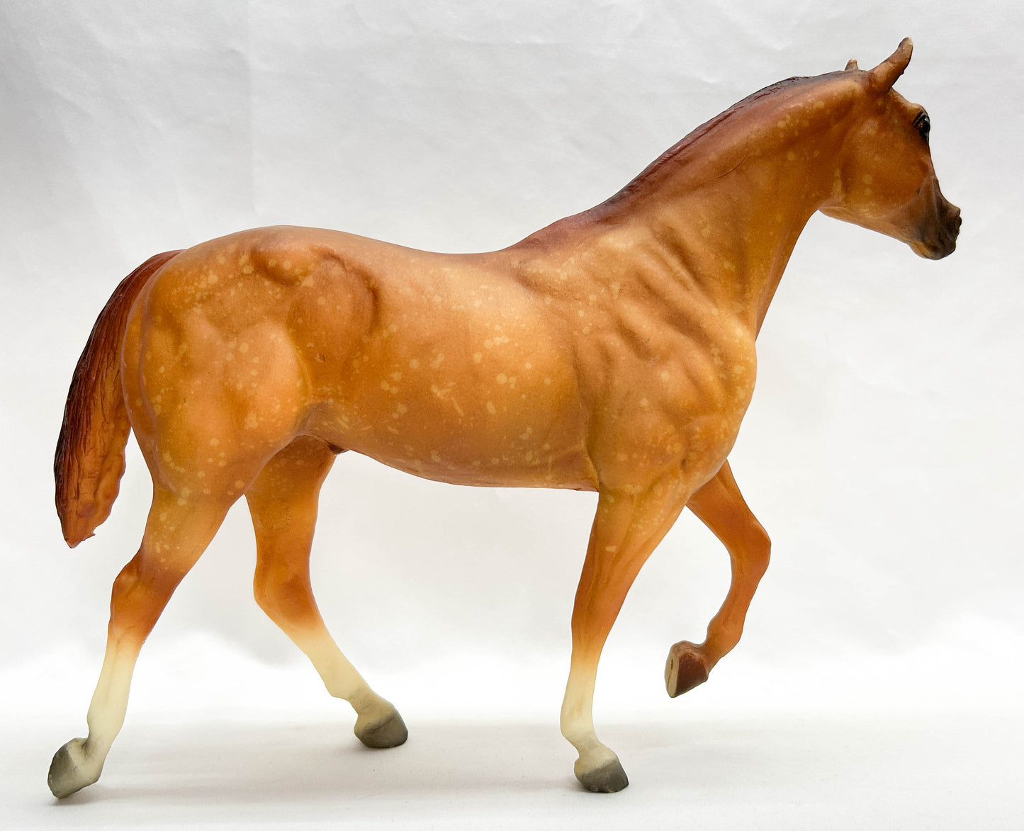 Stock Horse Stallion, Dappled Chestnut - JC Penney SR