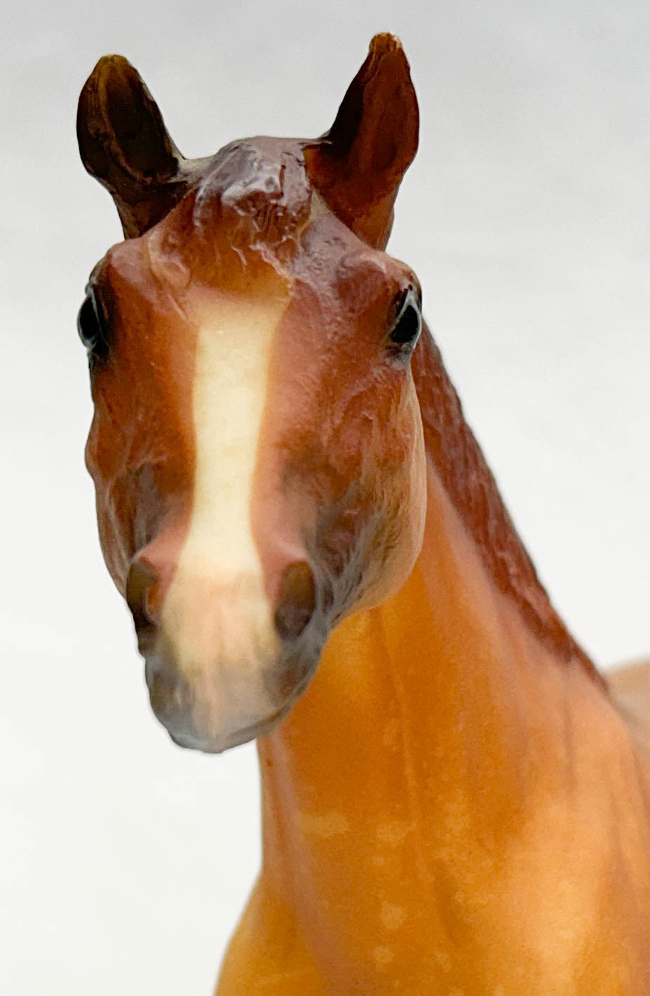 Stock Horse Stallion, Dappled Chestnut - JC Penney SR