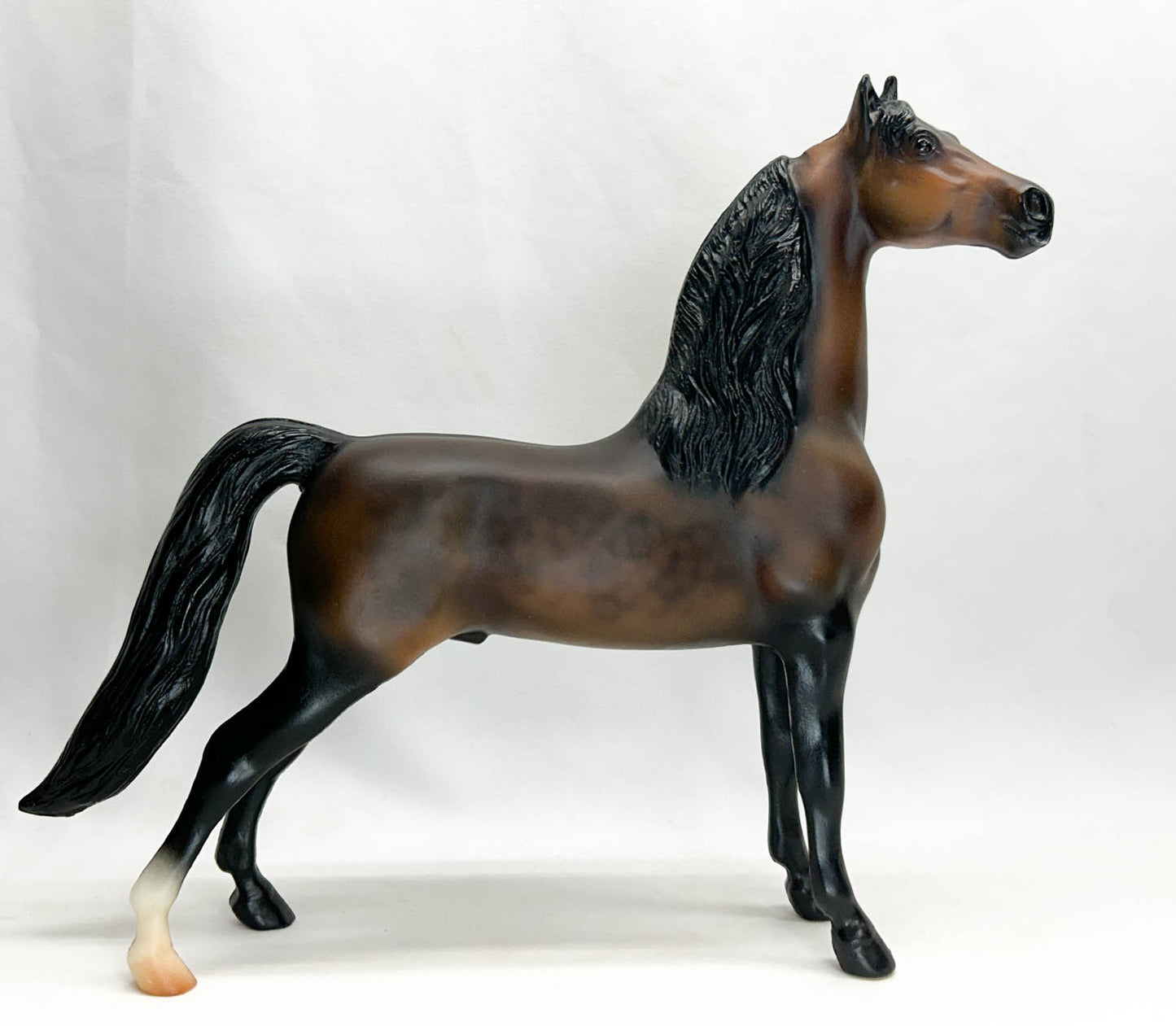 Morgan - Original ~ UVM Valcour, Signed - #008/500!