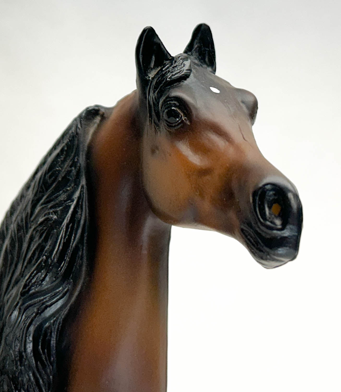 Morgan - Original ~ UVM Valcour, Signed - #008/500!