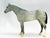 Stud Spider, Grey Appaloosa, Sears SR from Eleda's herd