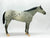 Stud Spider, Grey Appaloosa, Sears SR from Eleda's herd