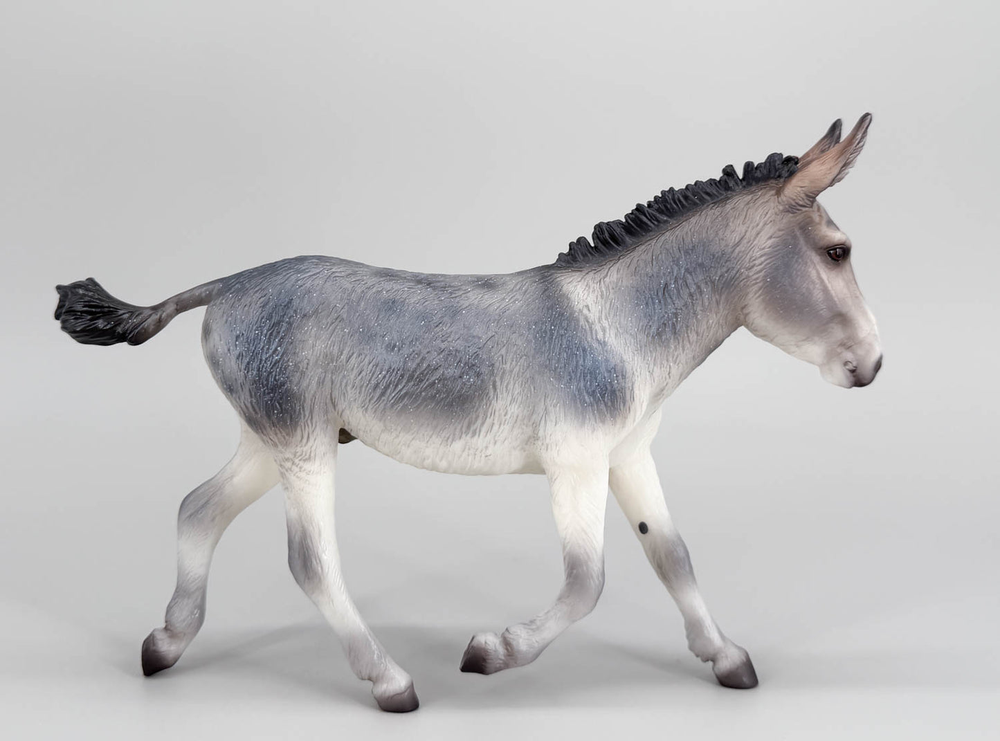 Trotting Donkey ~ Flapjack - 2026 Premier Club