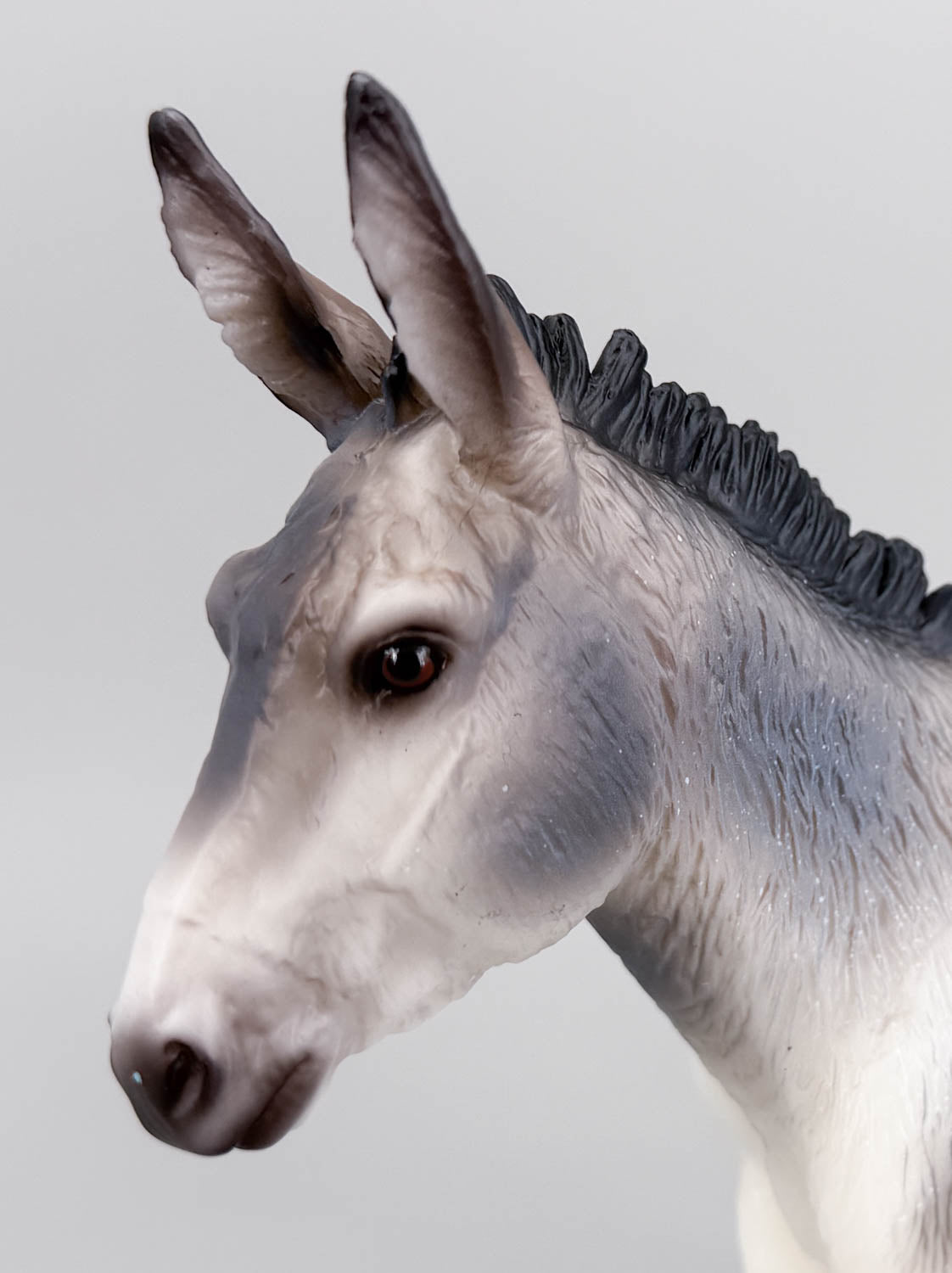 Trotting Donkey ~ Flapjack - 2026 Premier Club