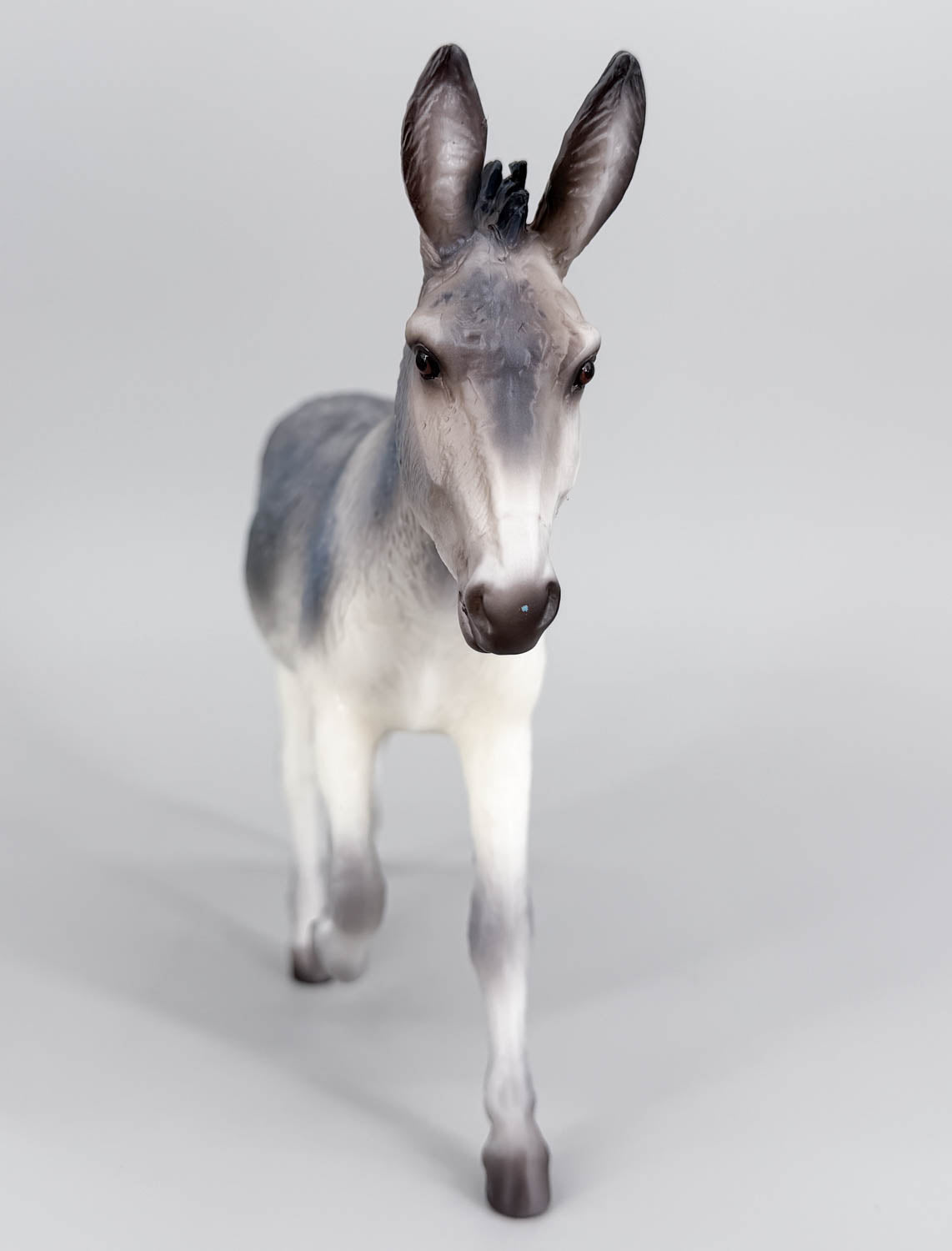 Trotting Donkey ~ Flapjack - 2026 Premier Club