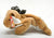 Ty Beanie Babies ~ Derby from Eleda's herd