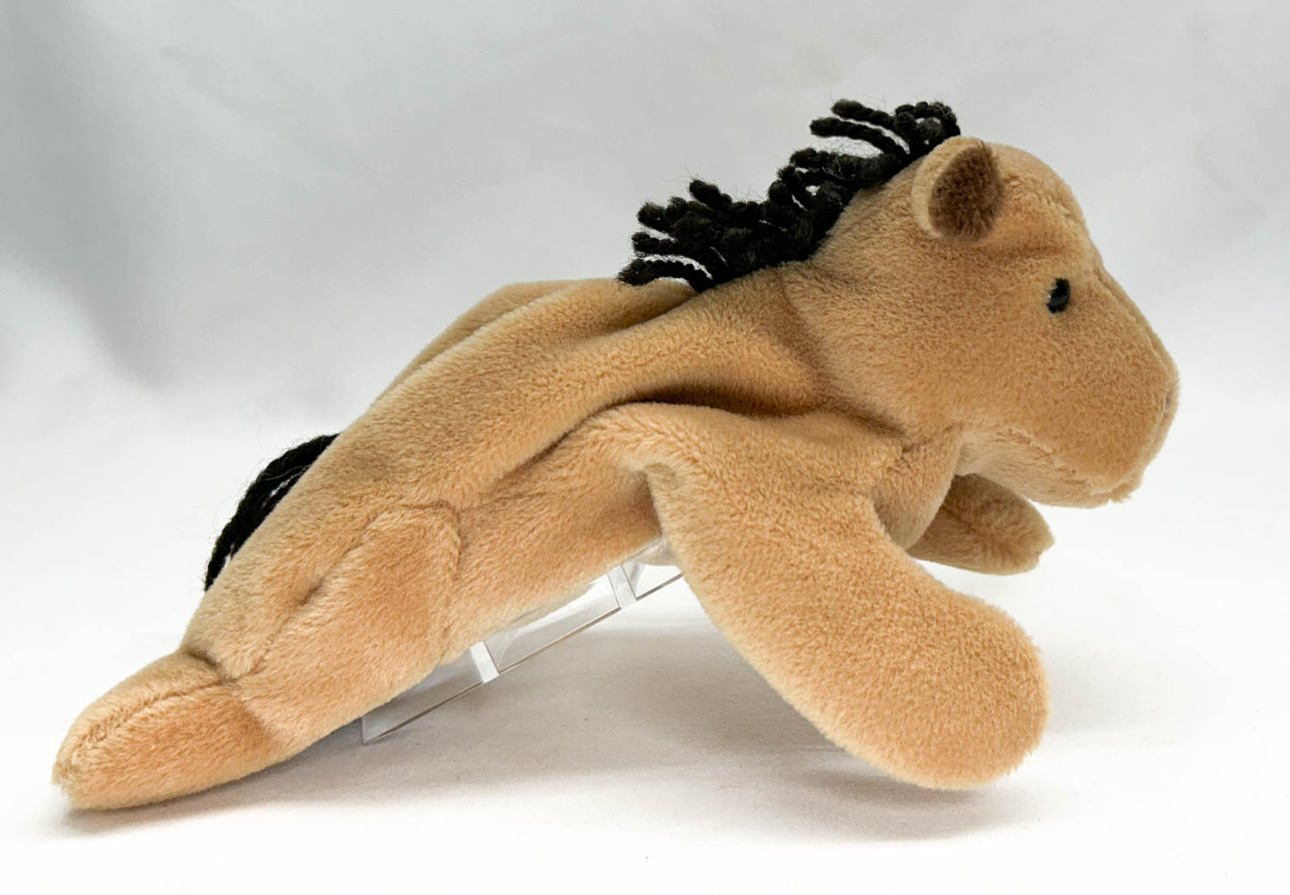 Ty Beanie Babies ~ Derby from Eleda's herd