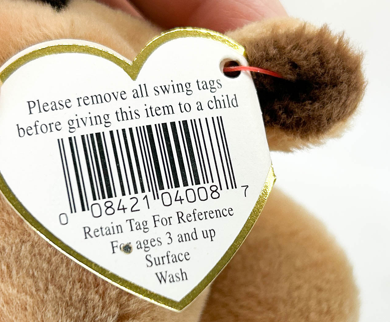 Ty Beanie Babies ~ Derby from Eleda's herd