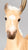Vanner Foal Lamp ~ Phoebe - 2026 Vintage Club