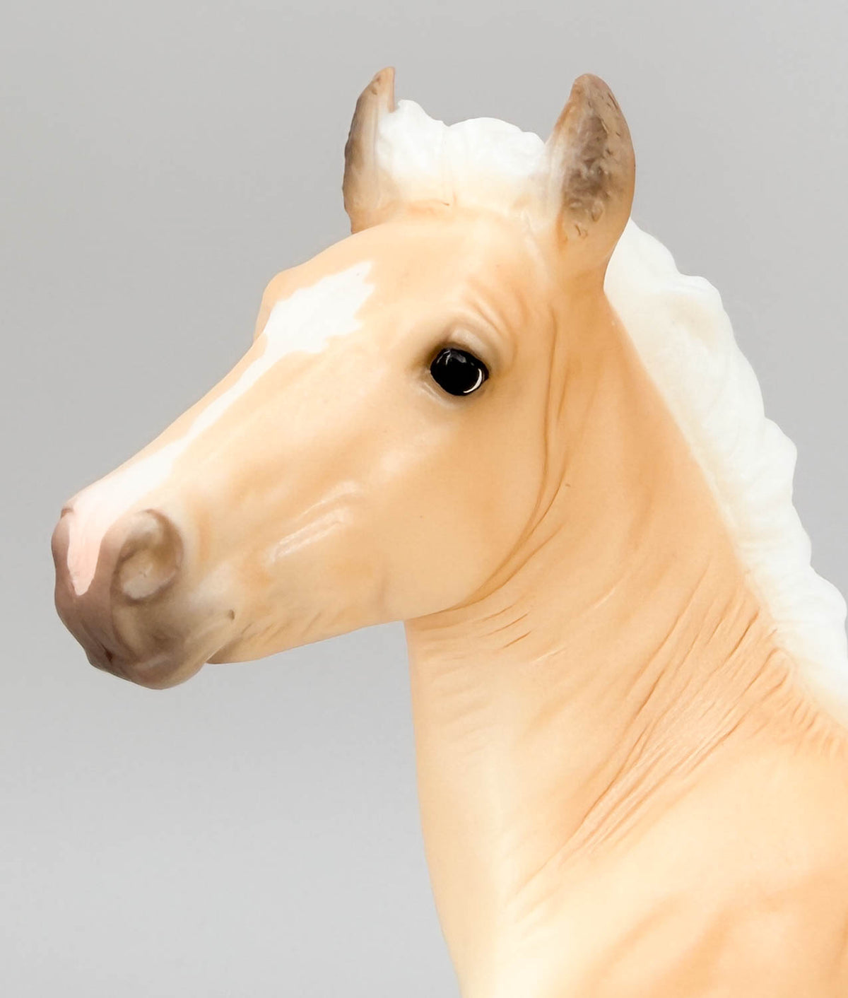 Vanner Foal Lamp ~ Phoebe - 2026 Vintage Club