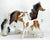 Gypsy Vanner Mare & Foal ~ Rhiannon & Rhemi - 2023 Premier Club