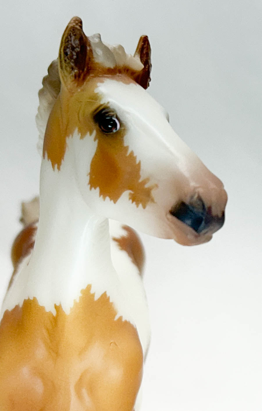 Gypsy Vanner Mare & Foal ~ Rhiannon & Rhemi - 2023 Premier Club