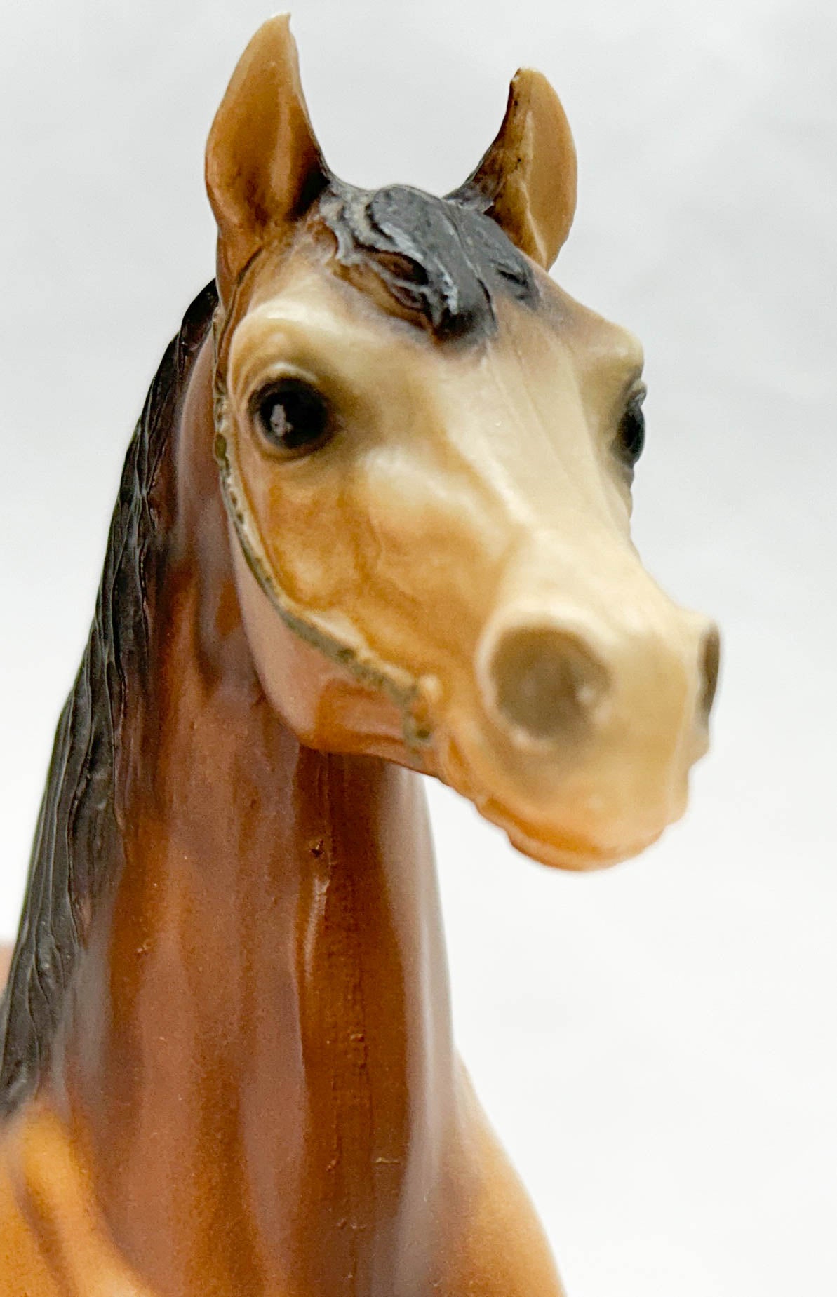 Western Prancing Horse ~ Cheyenne, Bay - Chestnut Variation