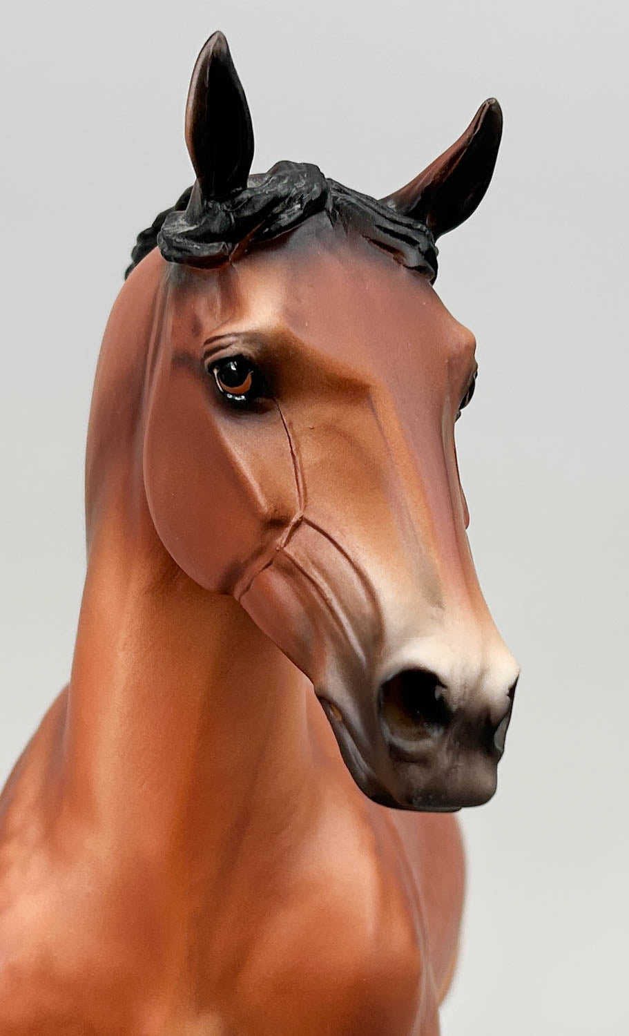 Wixom ~ Brunhilde - 2021 Web Special - from Eleda's herd