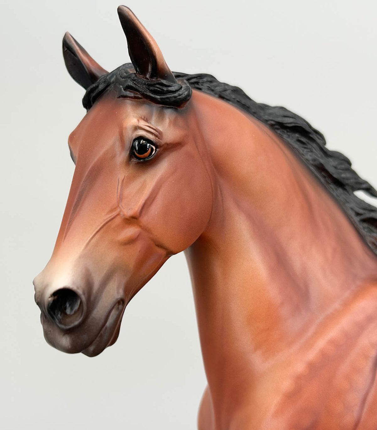 Wixom ~ Brunhilde - 2021 Web Special - from Eleda's herd