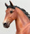 Wixom ~ Brunhilde - 2021 Web Special - from Eleda's herd