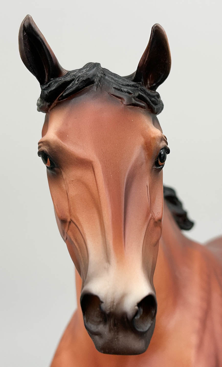 Wixom ~ Brunhilde - 2021 Web Special - from Eleda's herd