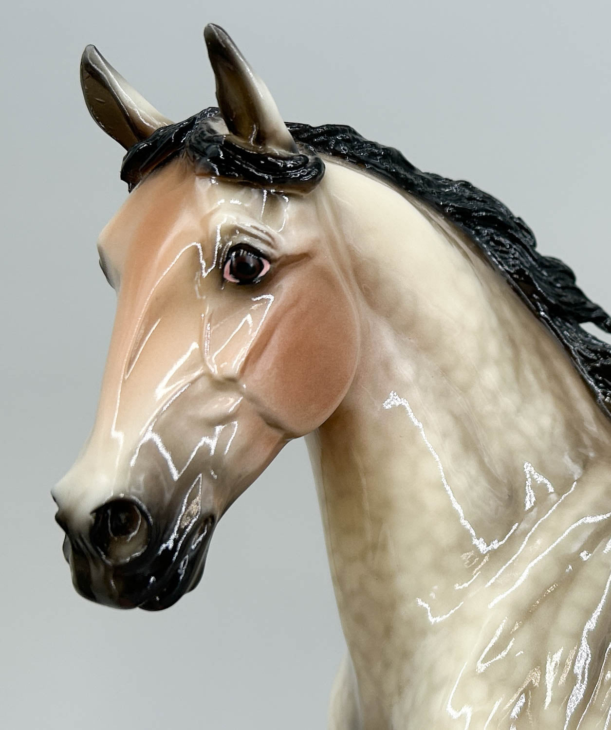 Wixom ~ Versailles - Breyerfest SR 2015 from Eleda's herd