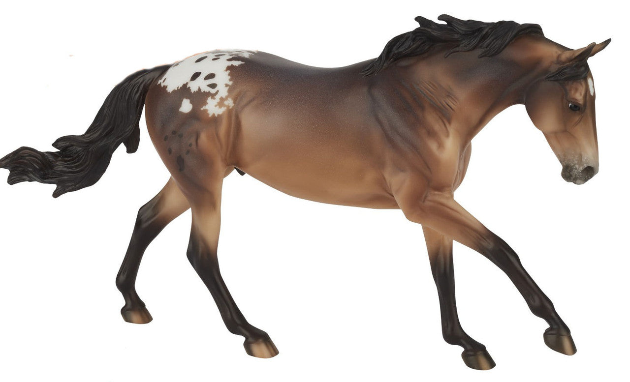 Australian Stock Horse ~ Mr. Shining Gun - ADVANCE SALE