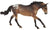 Australian Stock Horse ~ Mr. Shining Gun - ADVANCE SALE