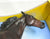 Standardbred Trotting Horse ~ Atlanta - Slight Damage