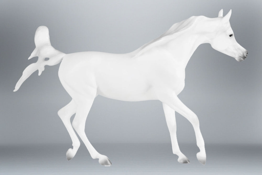 Playful Arabian Mare ~ Grey Arabian