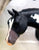 Western Horse Family - 2026 TSC SR