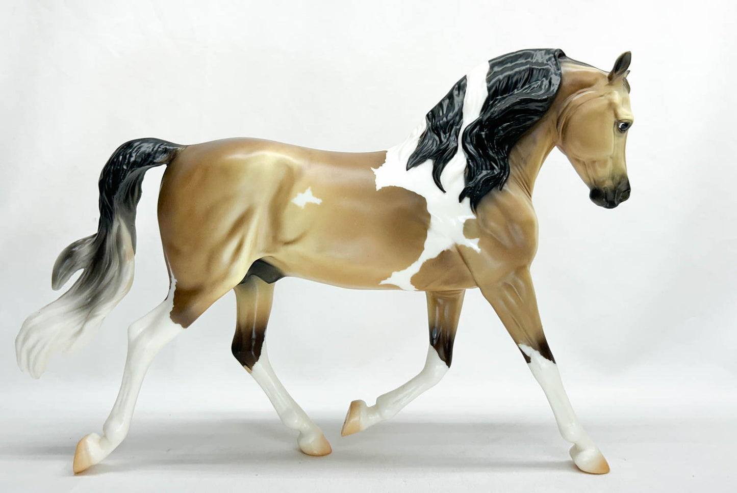 Foundation Stallion ~ Brooks - TSC SR 2025