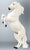 Lipizzan Stallion ~ Pluto Gratia