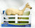 Paddock Pals Series (for Dollar General) Thoroughbred Mare ~ Latte