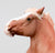 Augustus ~ Belgian Draught - TSC SR, Mystery Horse Surprise Series 8