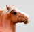 Augustus ~ Belgian Draught - TSC SR, Mystery Horse Surprise Series 8