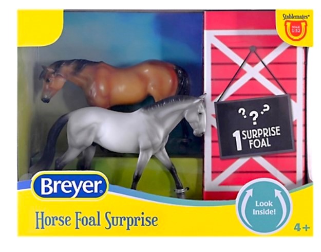 Horse Foal Surprise: Irish Draught, Indian Pony & ? Foal