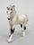 Cantering Warmblood, Grey - TSC SR, Mystery Horse Surprise Series 8