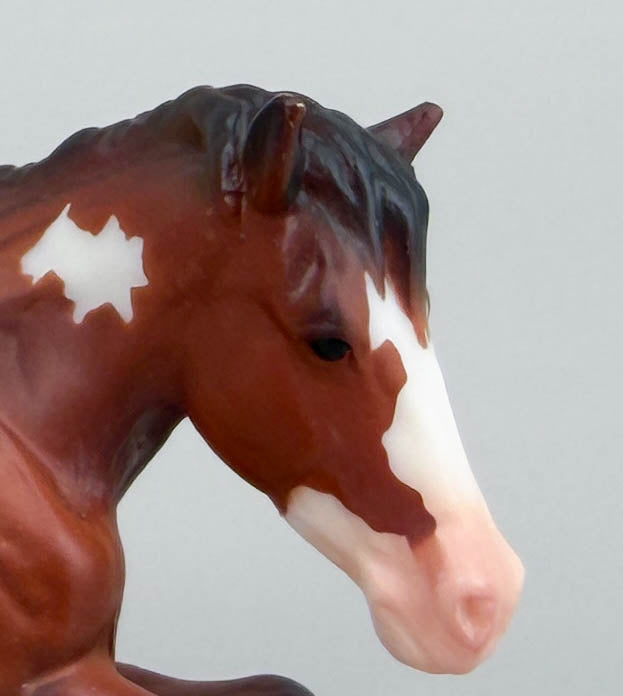 Lying Down Mare, Bay Pinto - TSC SR, Mystery Horse Surprise Series 8