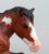 Lying Down Mare, Bay Pinto - TSC SR, Mystery Horse Surprise Series 8