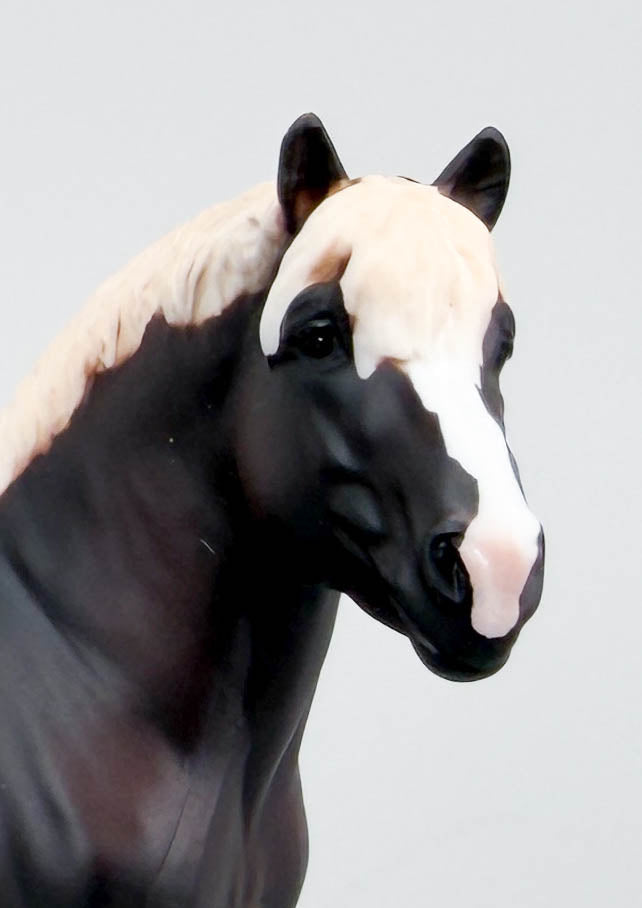 Rhenish Draft, Liver Chestnut - TSC SR, Mystery Horse Surprise Series 8