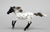 Running Mare, Black Leopard Appaloosa - TSC SR, Mystery Horse Surprise Series 8