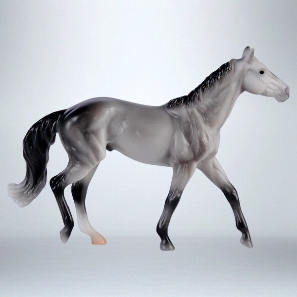 Walking Thoroughbred, Grey