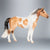 Warmblood Mare, Buckskin Pinto