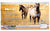 Australian Stock Horse ~ Merle - Tractor Supply SR
