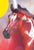 2026 Halloween Horse - Akhal Teke ~ Fuego - MORE MAY BE COMING- READ