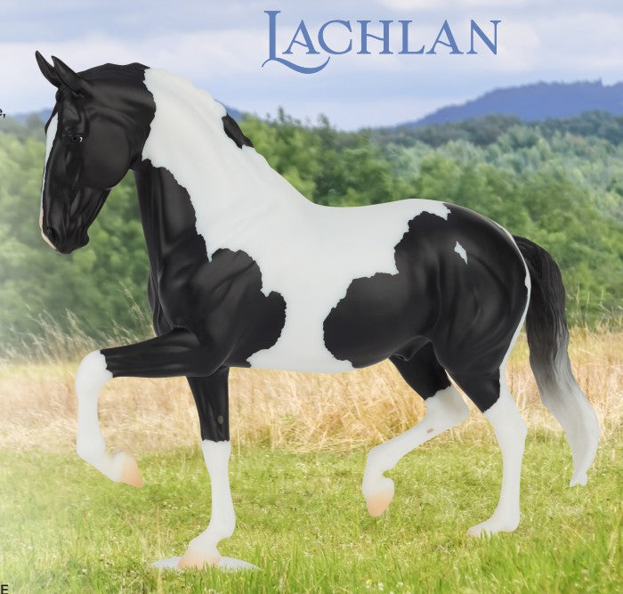 Salinero ~ Lachlan  ** IN-STORE SALE ONLY! ** [READ]