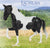 Salinero ~ Lachlan  ** IN-STORE SALE ONLY! ** [READ]