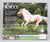 Show-Stance Arabian ~ Kacey - 2026 TSC SR