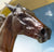 Standardbred Trotting Horse ~ Atlanta - Slight Damage